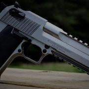 Desert Eagle Single Shot Gunshot Sound Effect