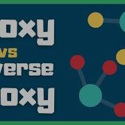Proxy Vs Reverse Proxy Explained By Example