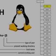 Linux Directory Structure And Basic Commands