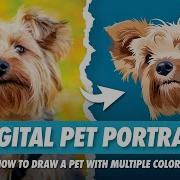 Как создать цифровой портрет питомца в Procreate Рисуем собаку несколькими цветами на IPad