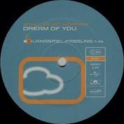 Schiller Mit Heppner Dream Of You Langspiel Fassung