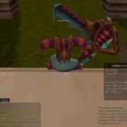 Sro Hotan Bug XD