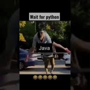 Wait For Python S Turn Programming Languages Meme Coding Status Video Instagram Reels Video