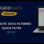 GridMate Data Filtering Quick Filter