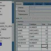 Learning Oracle Application Developer 24