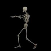 Hologram Skeleton Dan
