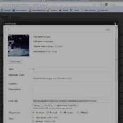 ReFresh Part 11 Shortcodes