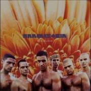 Rammstein Weisses Fleisch