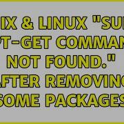Unix Linux Sudo Apt Get Command Not Found After Removing Some Packages 3 Solutions