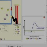 DSE09 05 Simulation On Reaction Rate