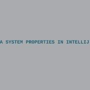 Setting Java System Properties In IntelliJ And Eclipse