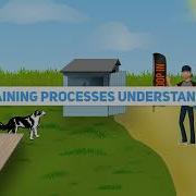 Explainer Video Agency Complex Things Simply Explained