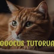 Fooocus Tutorial A Complete Guide To Image Generation Upscaling And Style Selection