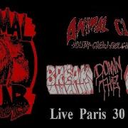 ANIMAL CLUB Belgium Live Paris 28 09 2019