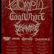 Psycroptic Interview