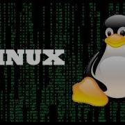 Linux Whereis Whatis Which полезные команды