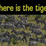 Find The Animal Game Can You Find The Hidden Animals