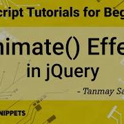 43 Effects In JQuery Part 2 Animate Effect In JQuery JQuery Tutorials For Beginners