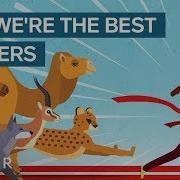 How Humans Evolved To Become The Best Runners On The Planet