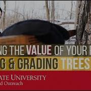 Knowing The Value Of Your Forest Scaling Grading Trees Logs