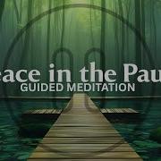 The Power Of The Pause A Science Backed Mindfulness Practice