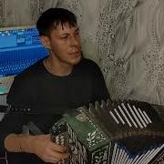Шикарная песня ПРОЩАЛЬНОЕ ТАНГО Спустилась ночь Алексей Кракин под гармонь