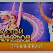 Ленинград Экспонат Live 2016