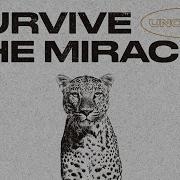Survive The Miracle Instrumental IYEOKA RBFT Backstage Tour Visualizer UNOGBO