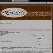Website Hacking Input Validation Attacks SQL Injection XSS Attack Etc