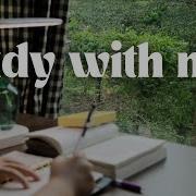 1 Hour Study With Me Tree View Lofi Piano No Breaks