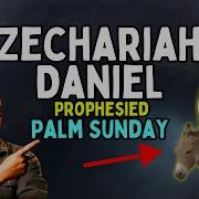 Zechariah S Daniel S Prophecy Fulfilled Palm Sunday