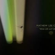 Mathew Lee Cothran Wild Life Let Me Know Official Audio
