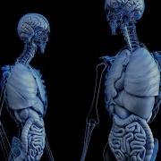 BIO 110 Accessing And Using Your Course LibGuide