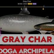 RUSSIAN FISHING 4 RF4 TROPHY GRAY CHAR LADOGA ARCHIPELAGO