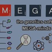 MEGA The Genetics Software And The MEGA Minds Behind It