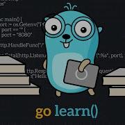Should You Learn Go In 2025