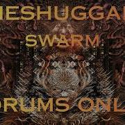 Meshuggah Swarm Drums Only