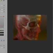 Exposure Render Volume Rendering With Physically Based Light Transport