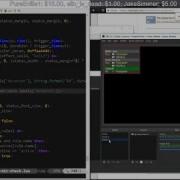 Lua OBS Script Custom Source For Mic Status