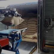 Unloading Coffee Bags From A Container Plus Palletizing
