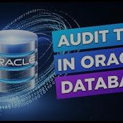 Audit Trail In Oracle Database Complete Guide For Auditors MCA Rule 11 G Explained
