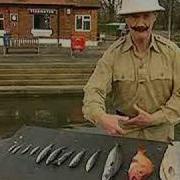 Mr Palin On The Sport Of Fish Slapping