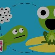The Life Cycle Song Science Songs Scratch Garden