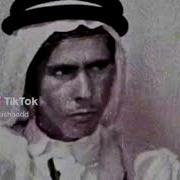 Mr Kitty After Dark Arabian Version Slowed Reverbed