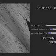 Arnold Cat