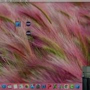 C Multithreading With Gcc And XCode On MacOS Crash Course