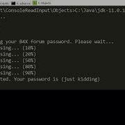 B4X B4J Console Input Demo