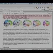 NeuroHackademy 2021 Machine Learning In Python