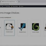 Gravity Forms Image Choices
