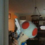 Toad The Killer